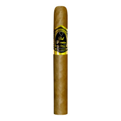 Aficionados Paraíso Elemental 6" X 50