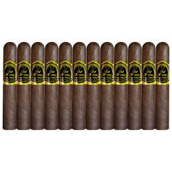 Sampler 12 Robustos maduros Paraíso