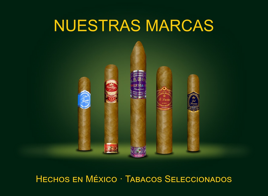 Nuestras marcas
