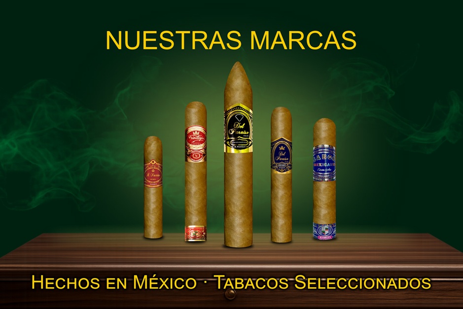 Nuestras marcas