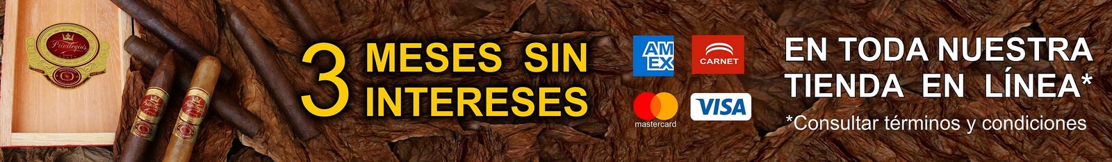 Oferta 3 MSI